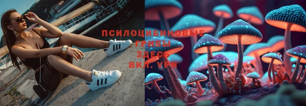 крисы Белоозёрский